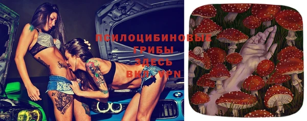 гидропоника Нягань